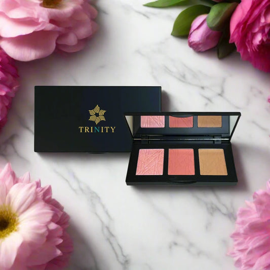 Pro Cheek Palette.png